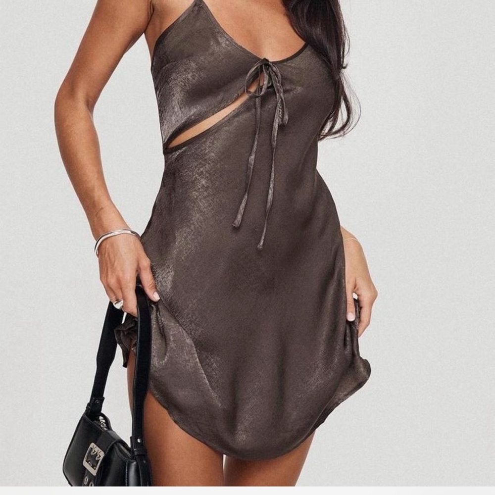 Brown mini princess Polly dress